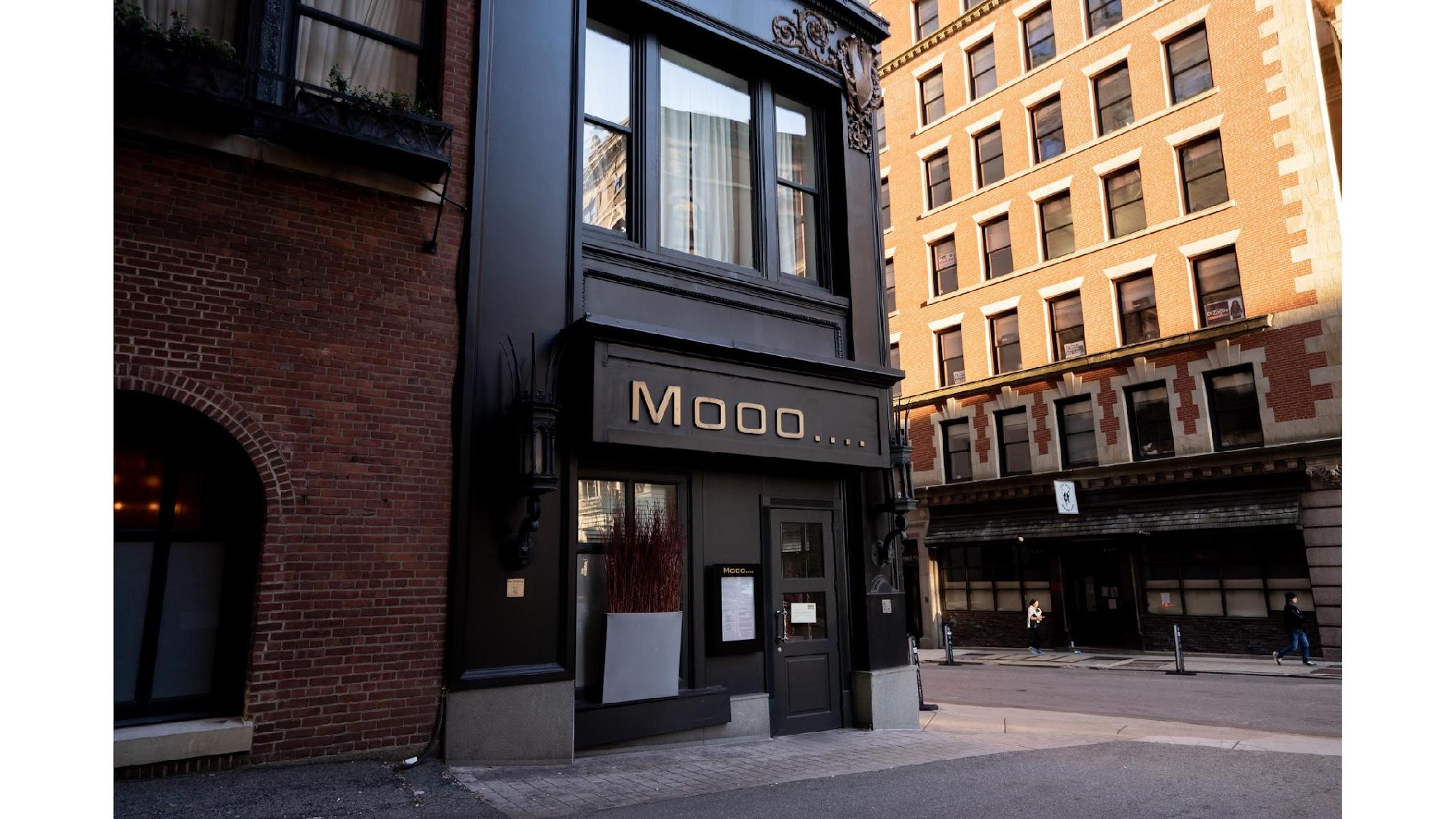 Mooo....Beacon Hill
