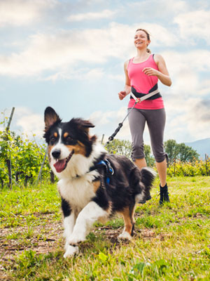 Boston Dog Company Cambridge