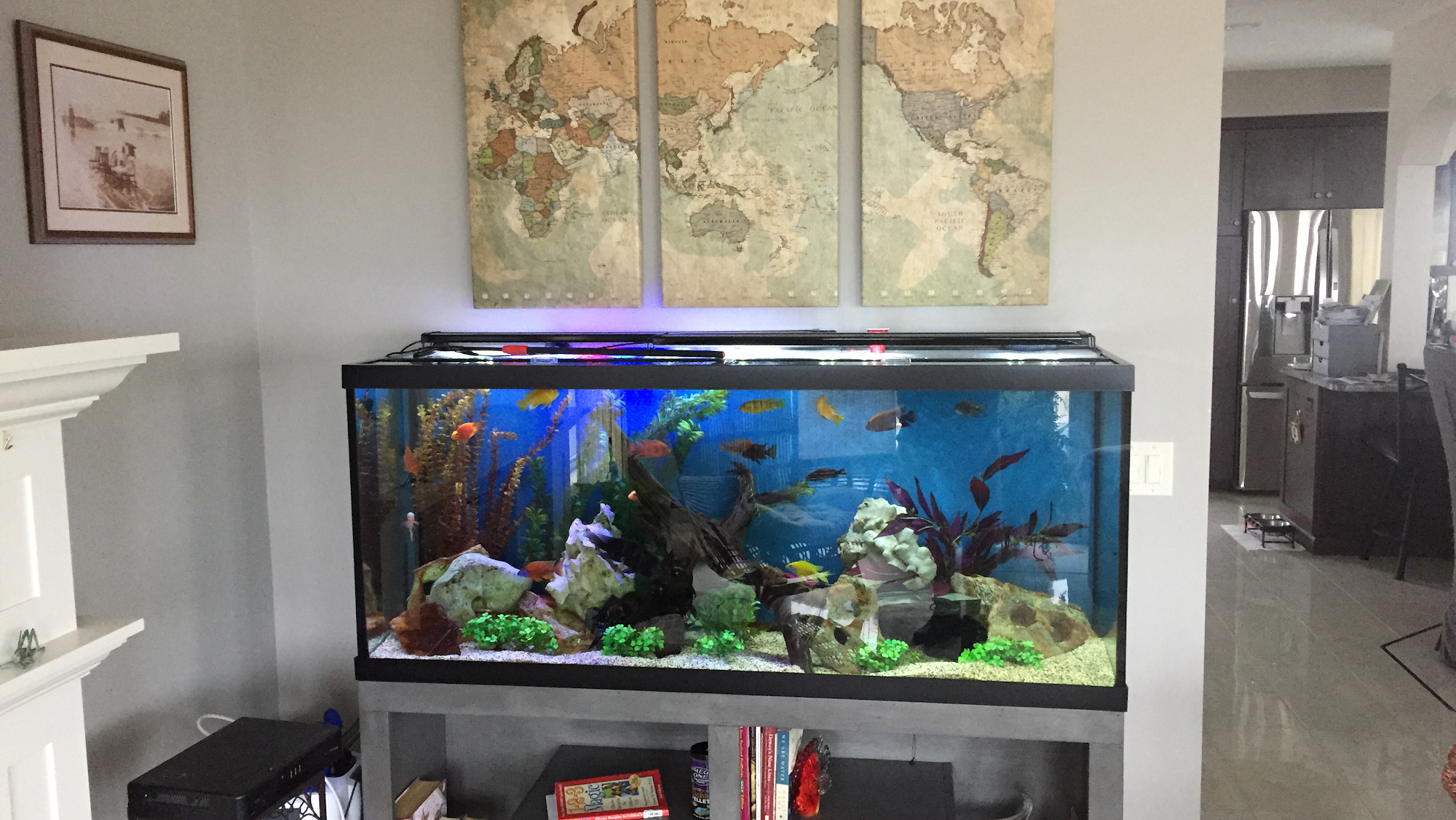 Fish Bowl Aquarium and Pet Mart Fall River