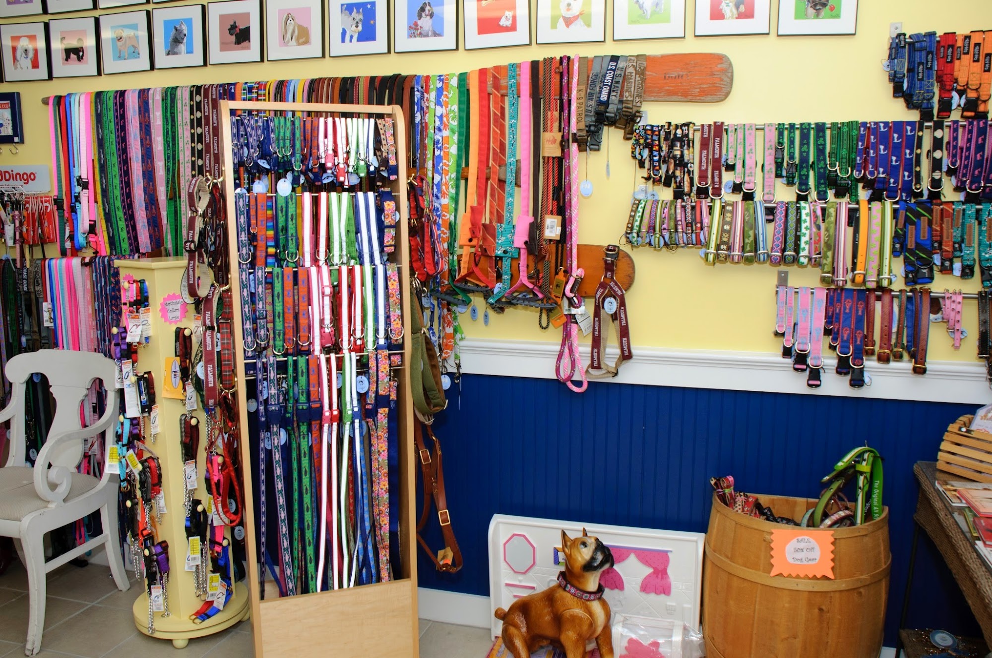 Uptown Dog Cape Cod Falmouth