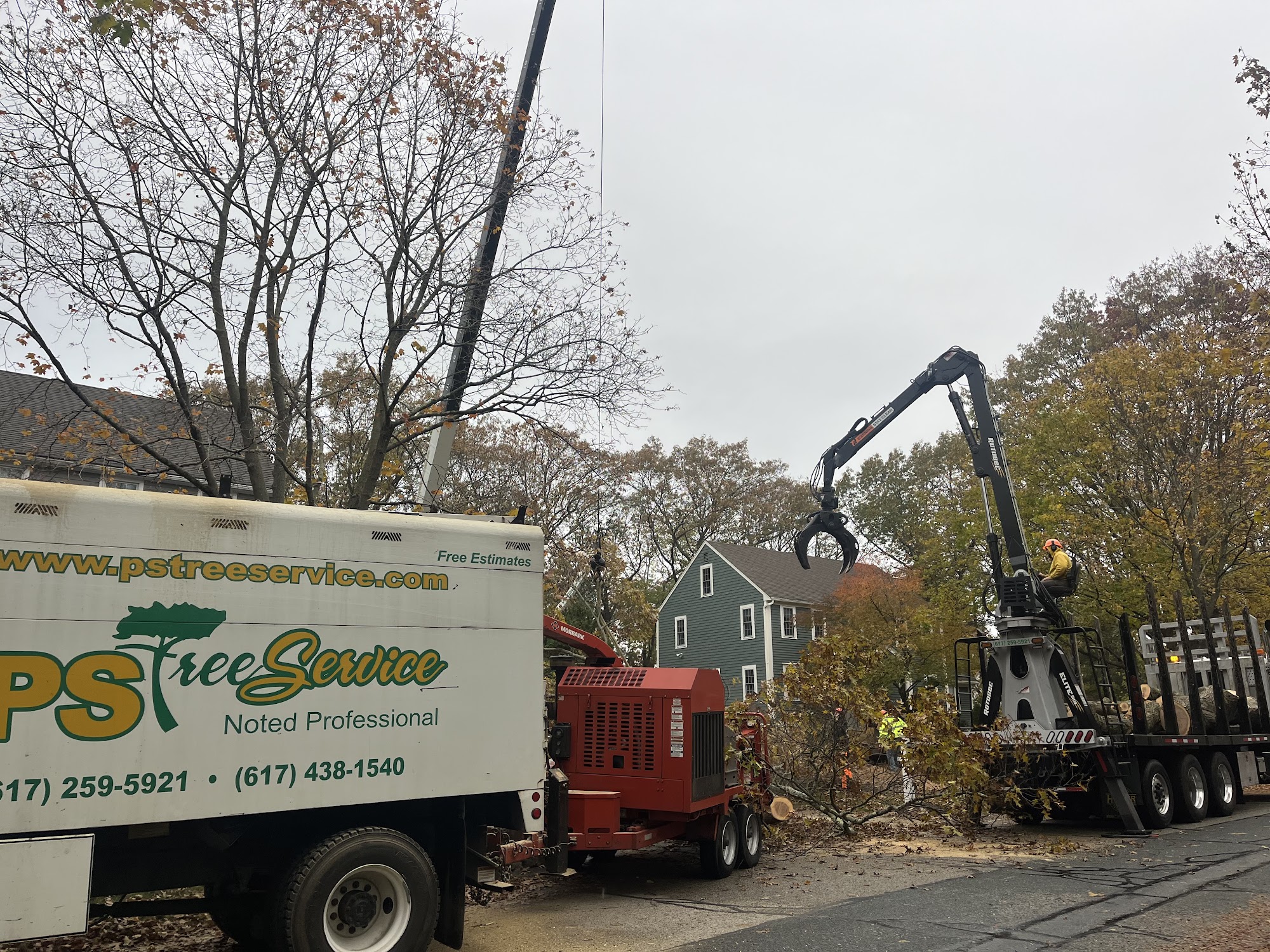 Ps Tree Service, Inc 616 South St, Holbrook Massachusetts 02343