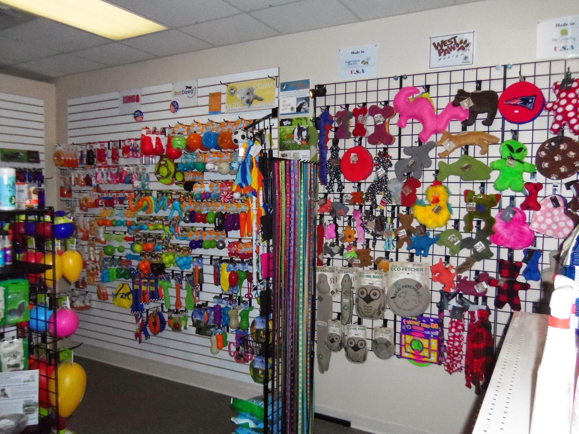 The Happy Retriever Holliston