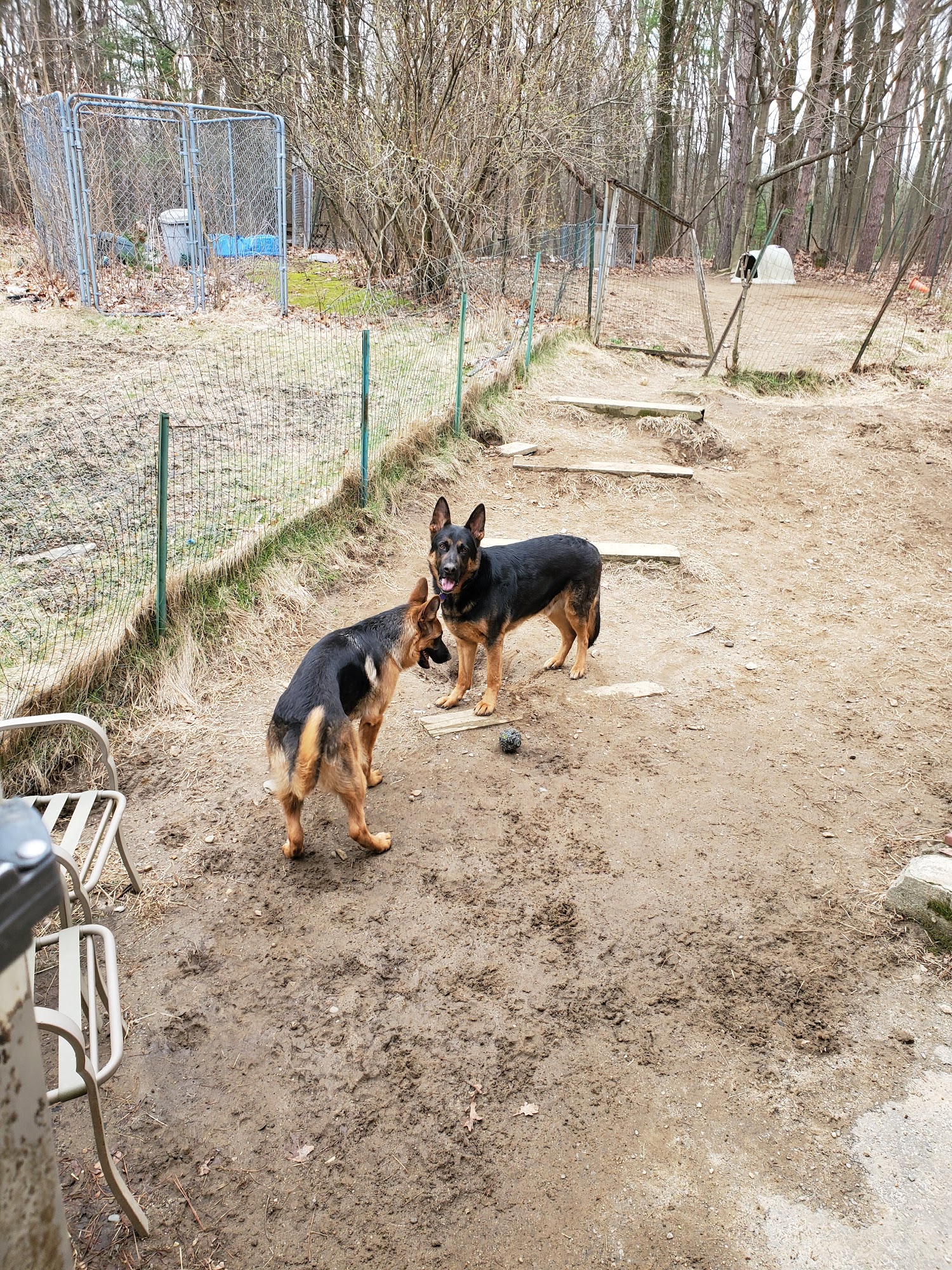 Pets Gone Healthy Marlborough