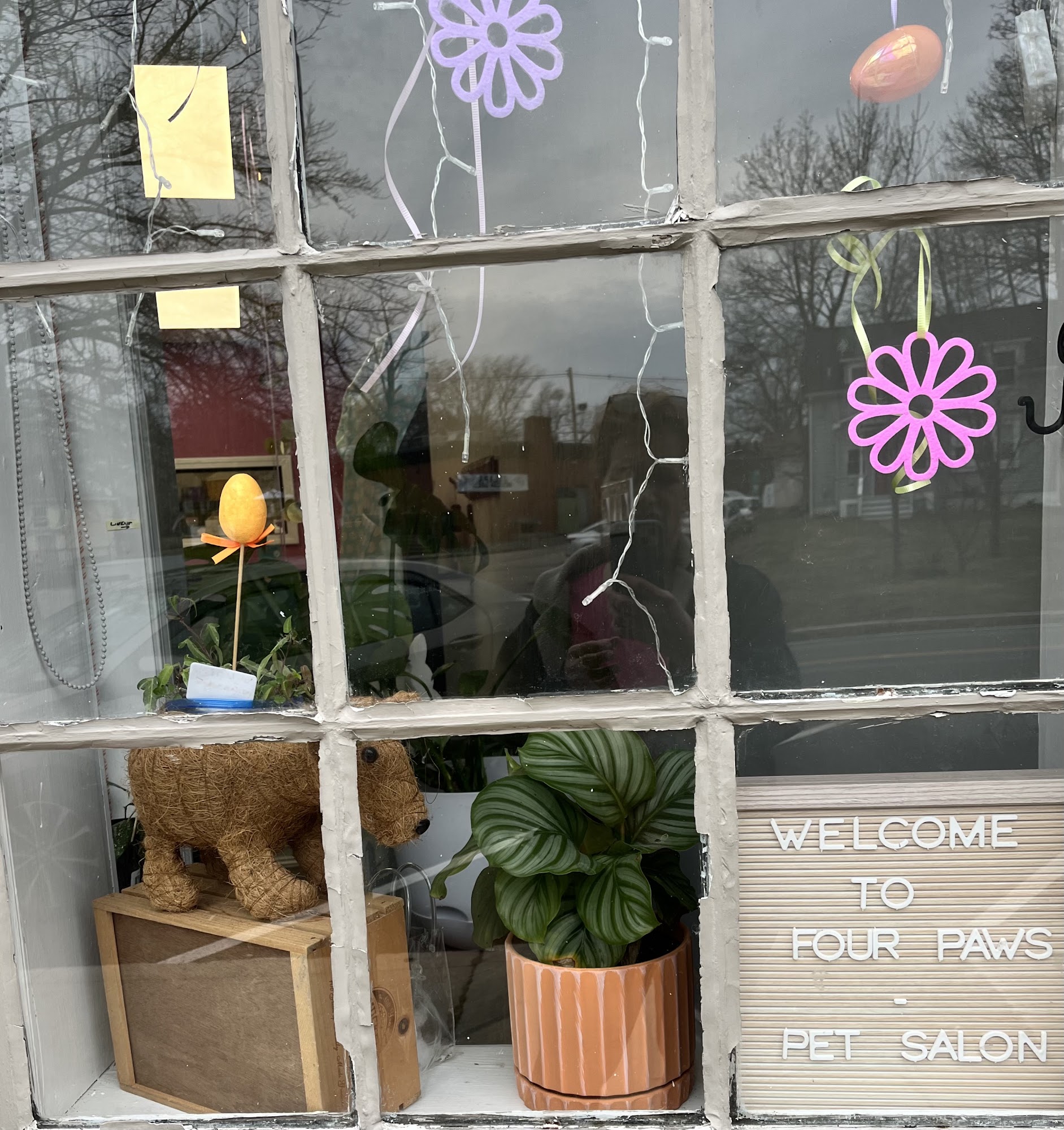 Four Paws - Pet Salon 26 Exchange St, Millis Massachusetts 02054