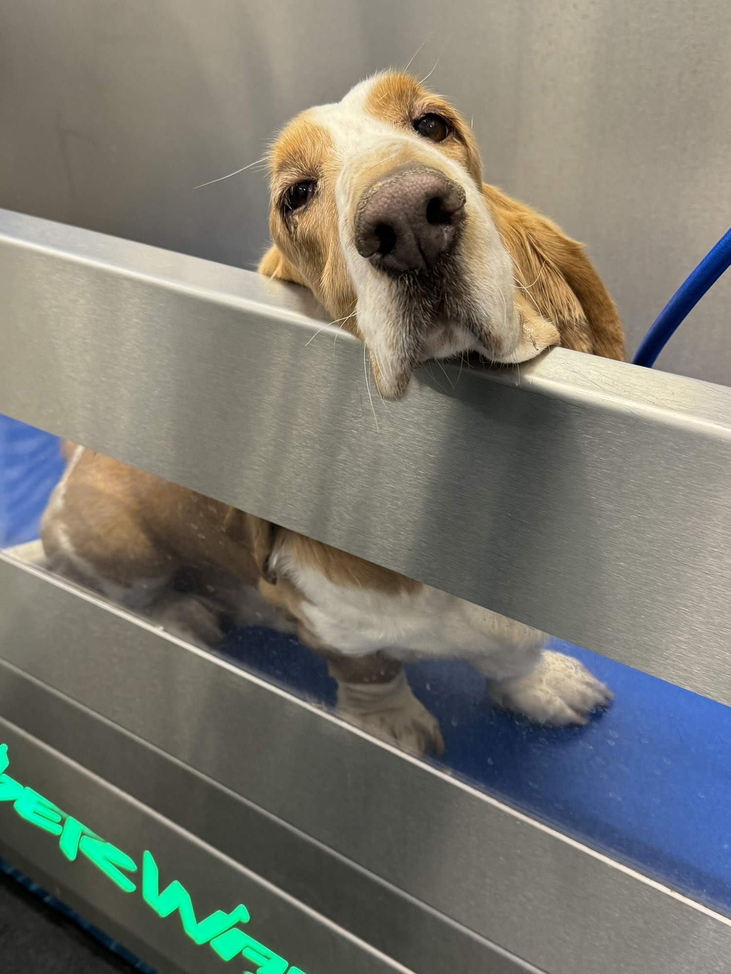 The Soapy Spot Rockland