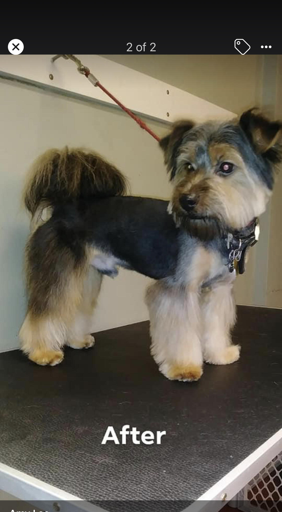 Photo credit: nextdoor