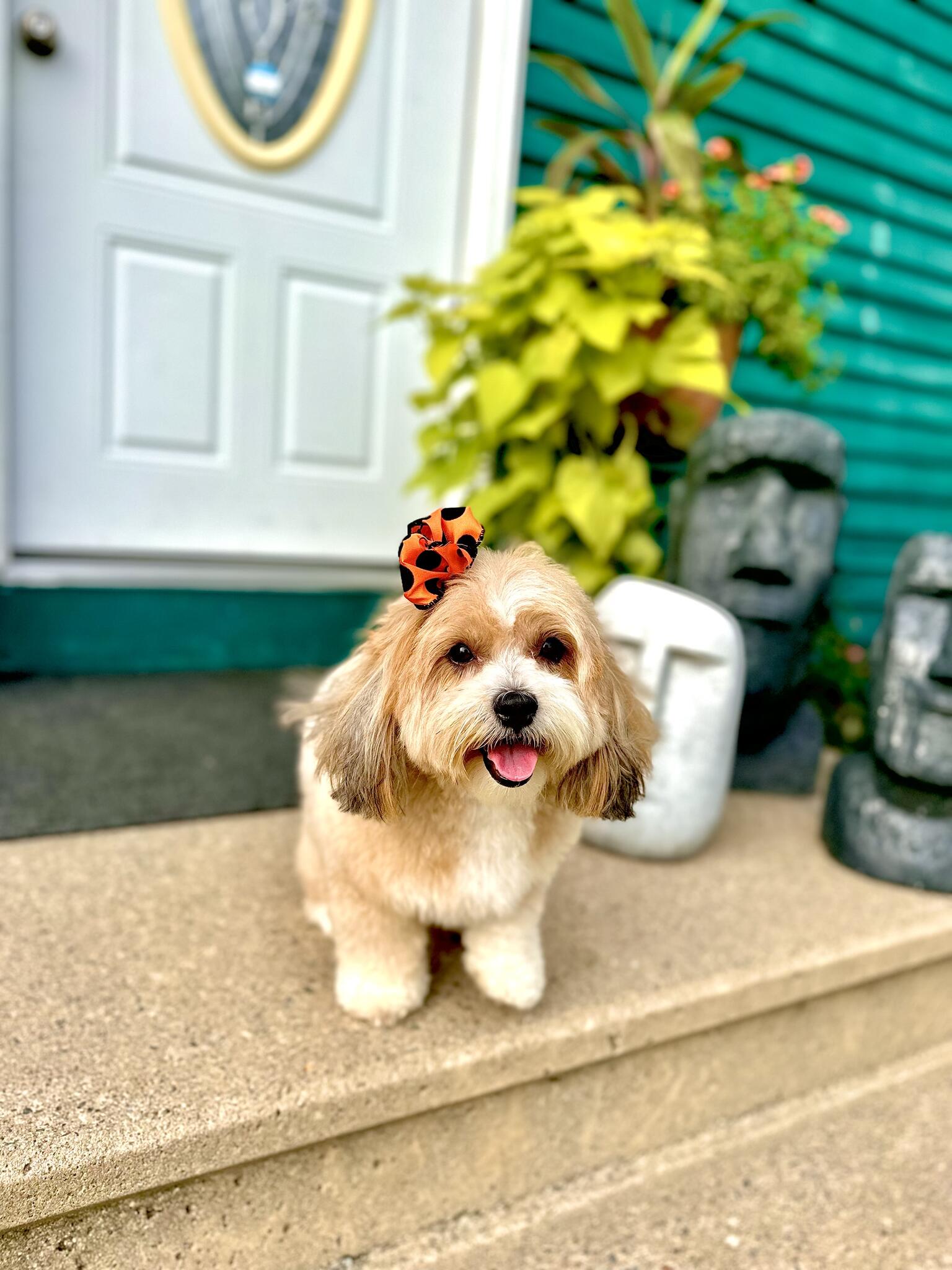 Photo credit: nextdoor
