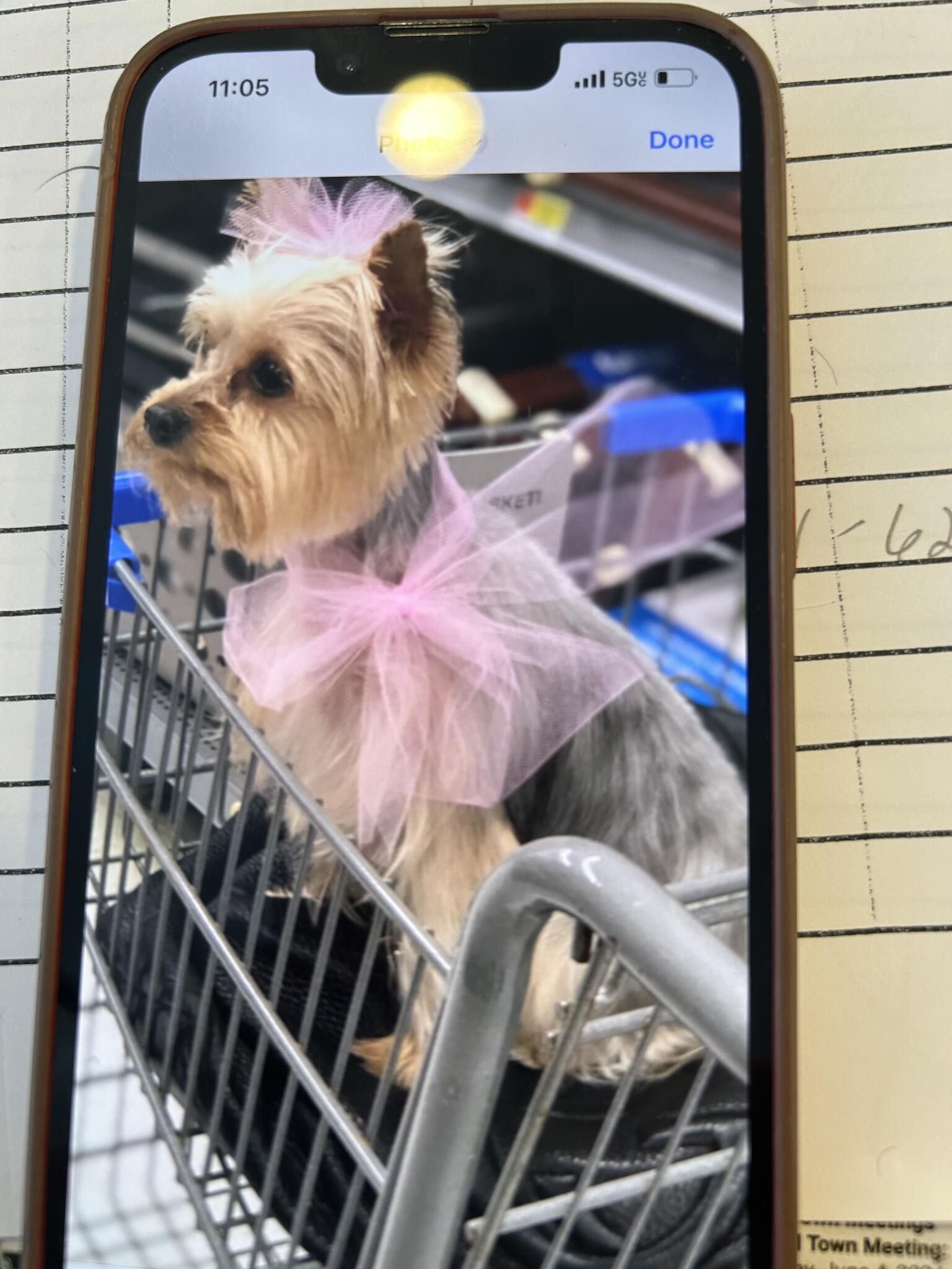 Photo credit: nextdoor