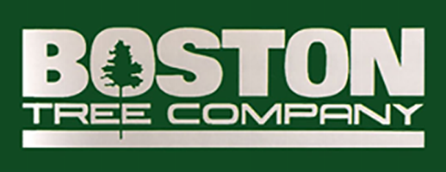 Boston Tree Company