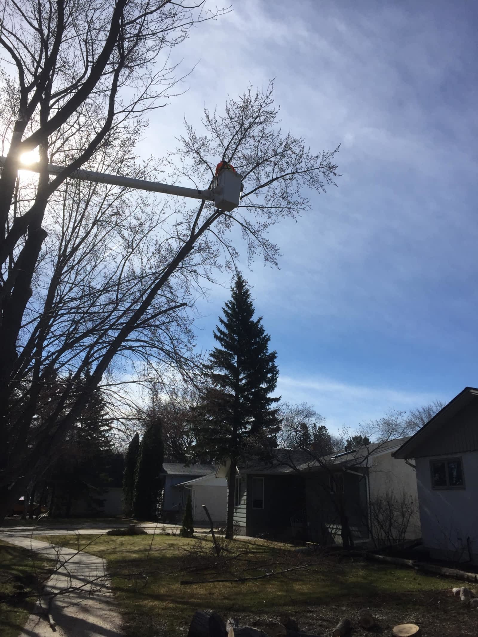 Photo credit: yellowpages.ca