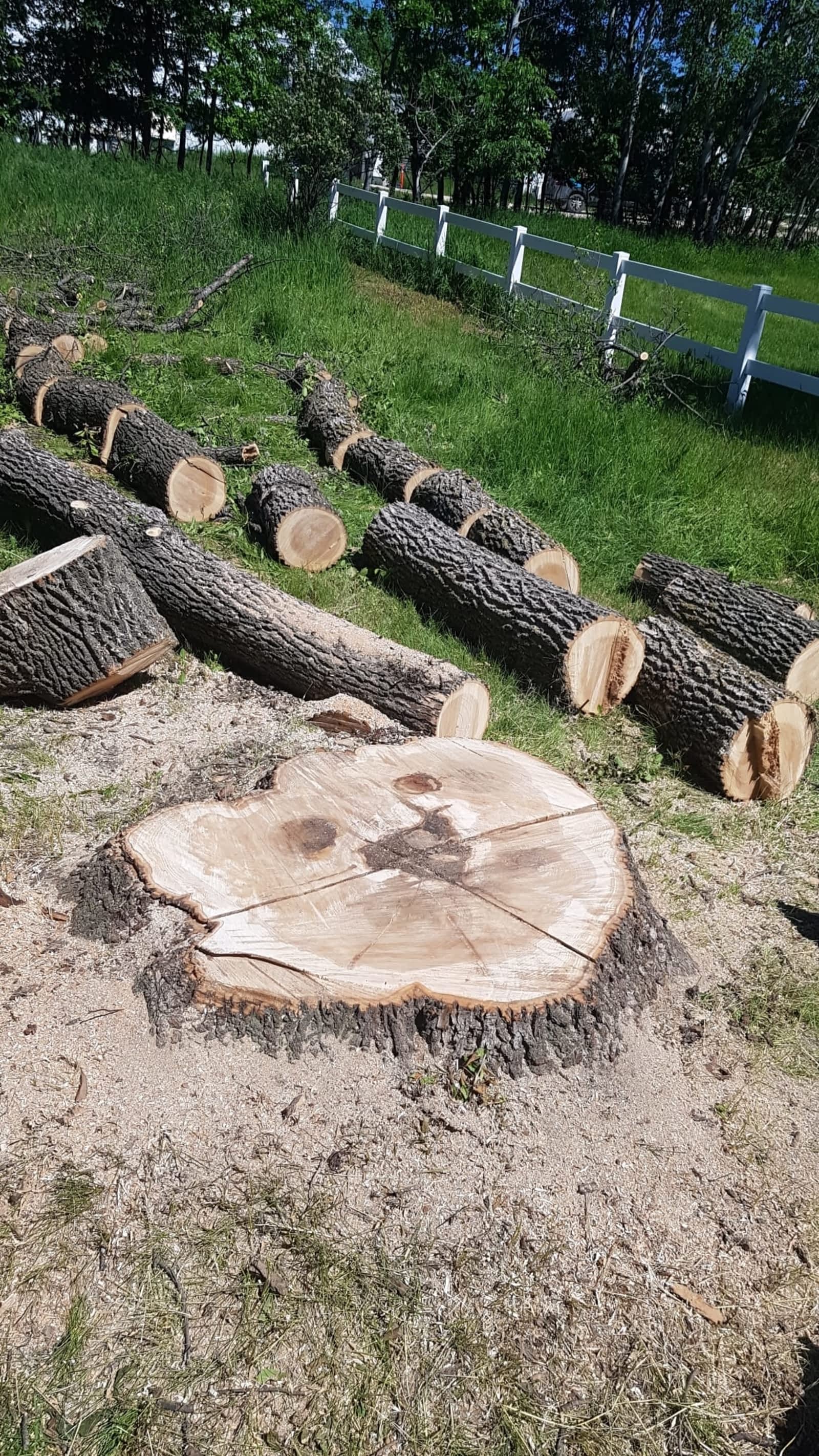Photo credit: yellowpages.ca