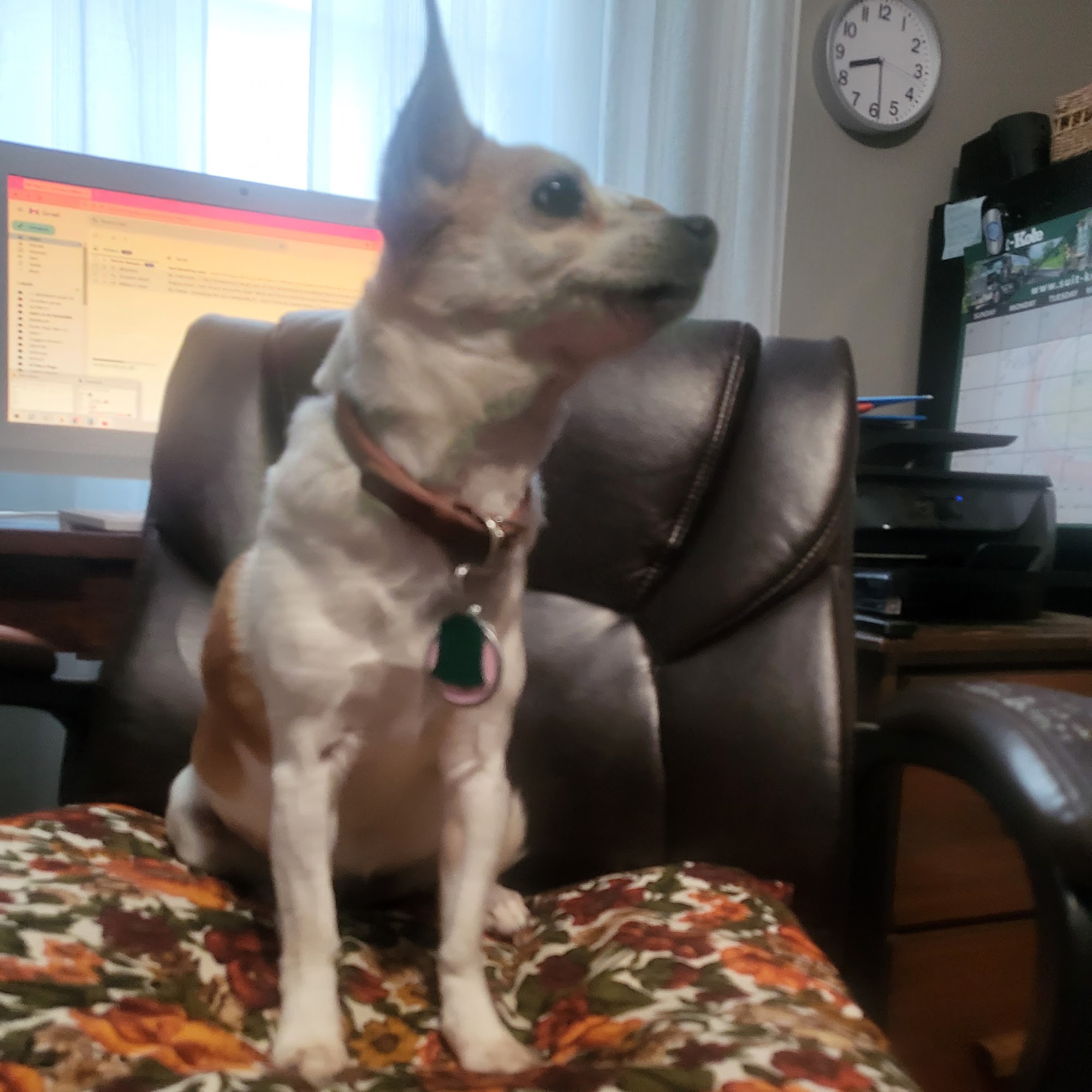 Boesl Packing Co Baltimore