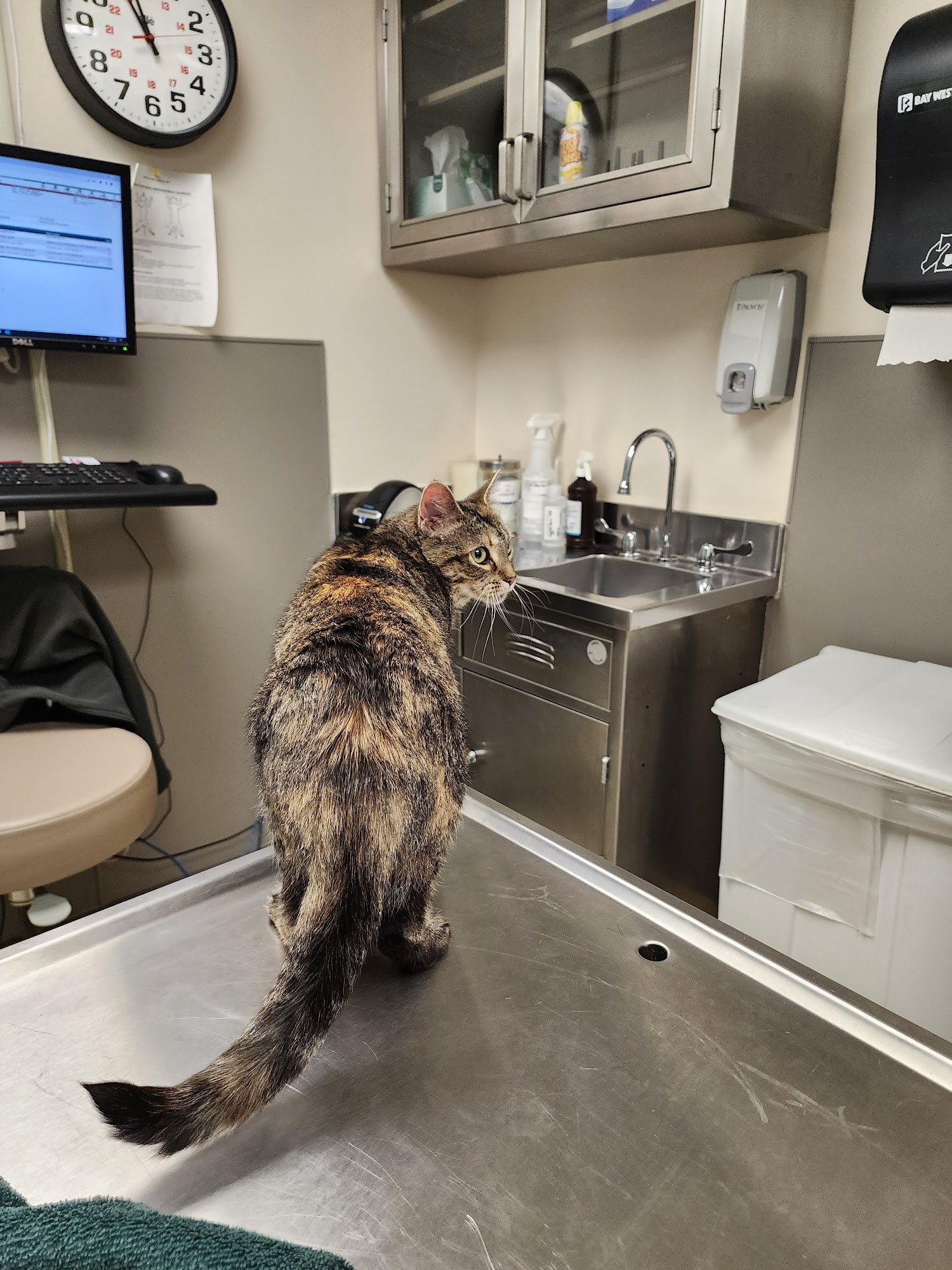 Fort Meade Veterinary Treatment Facility 2018 20th St, Fort Meade Maryland 20755