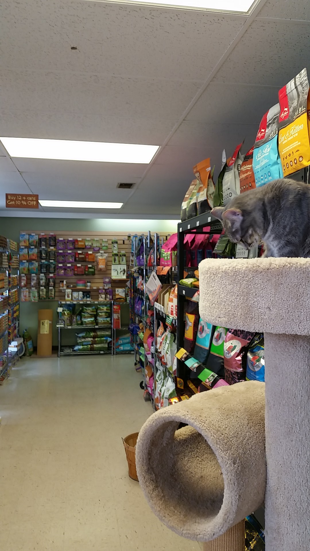 Central Dawgma & The Dawg Wash Hagerstown