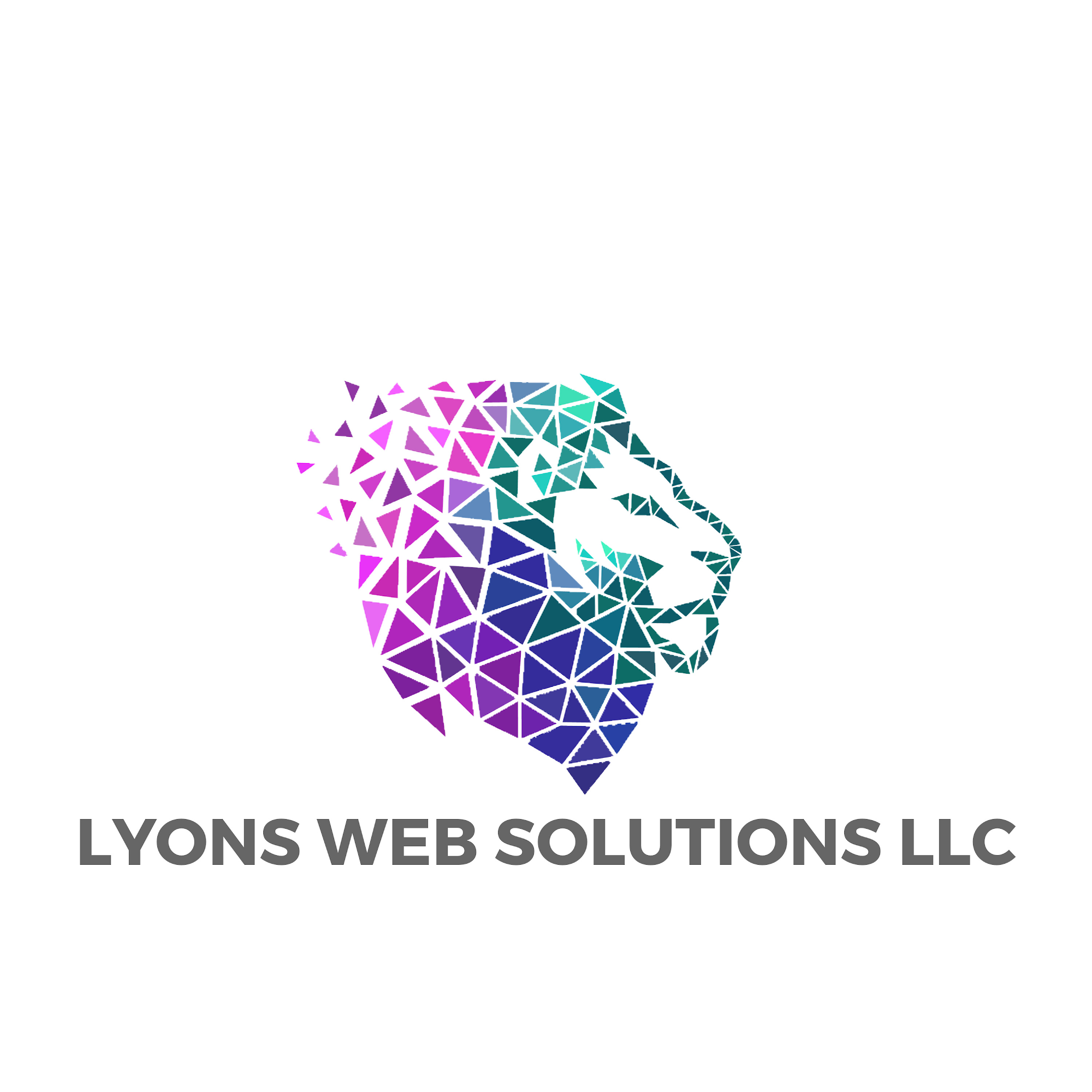 Lyons Web Solutions LLC 13360 Clarksville Pike, Highland Maryland 20777
