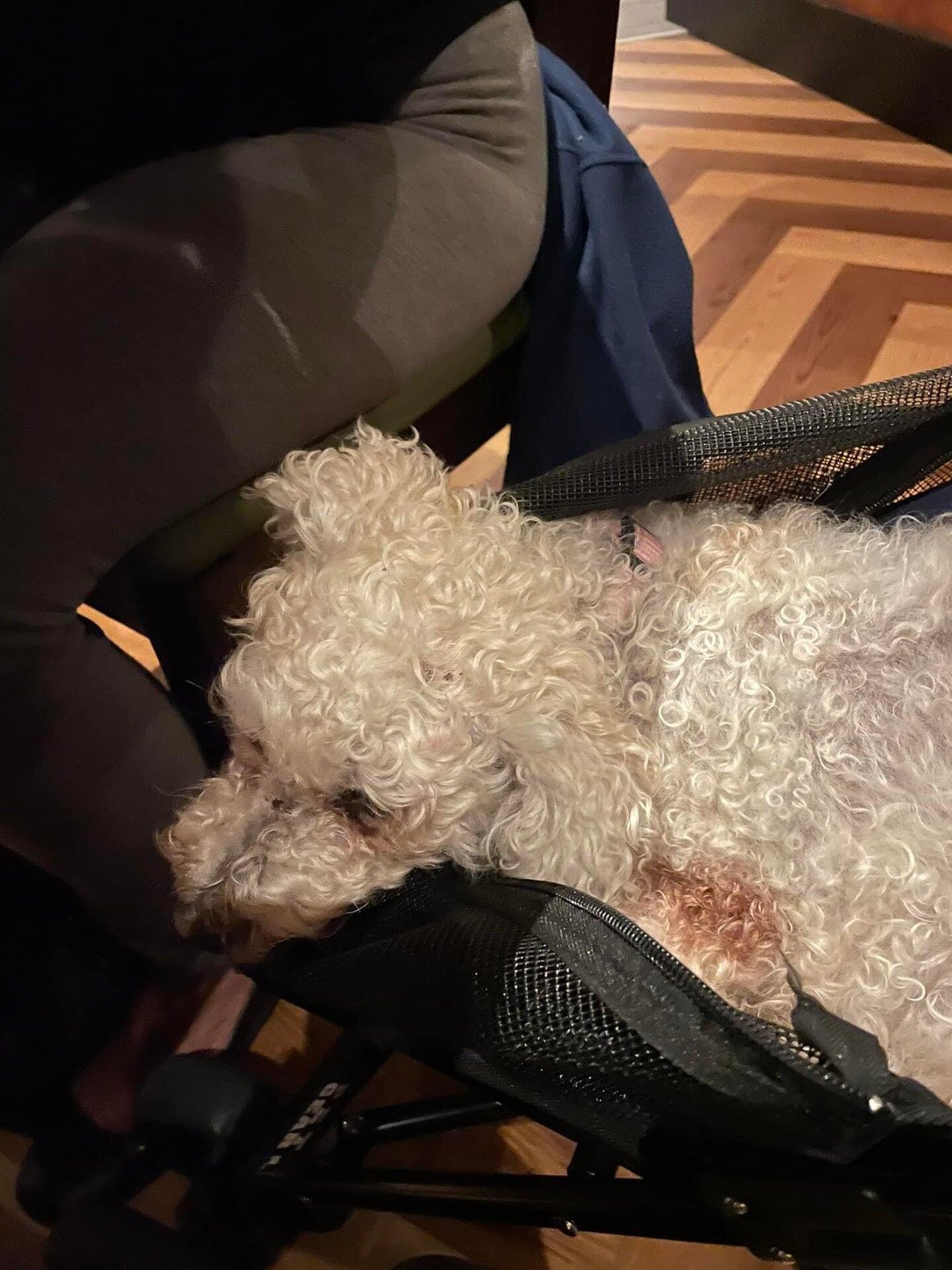 Photo credit: nextdoor
