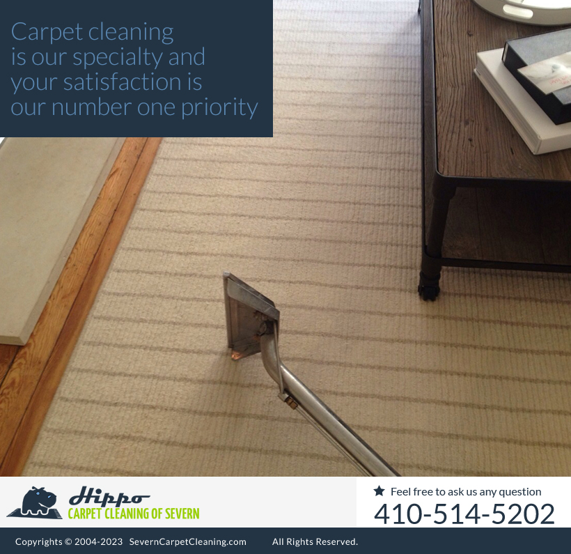 Hippo Carpet Cleaning of Severn Severn Maryland 