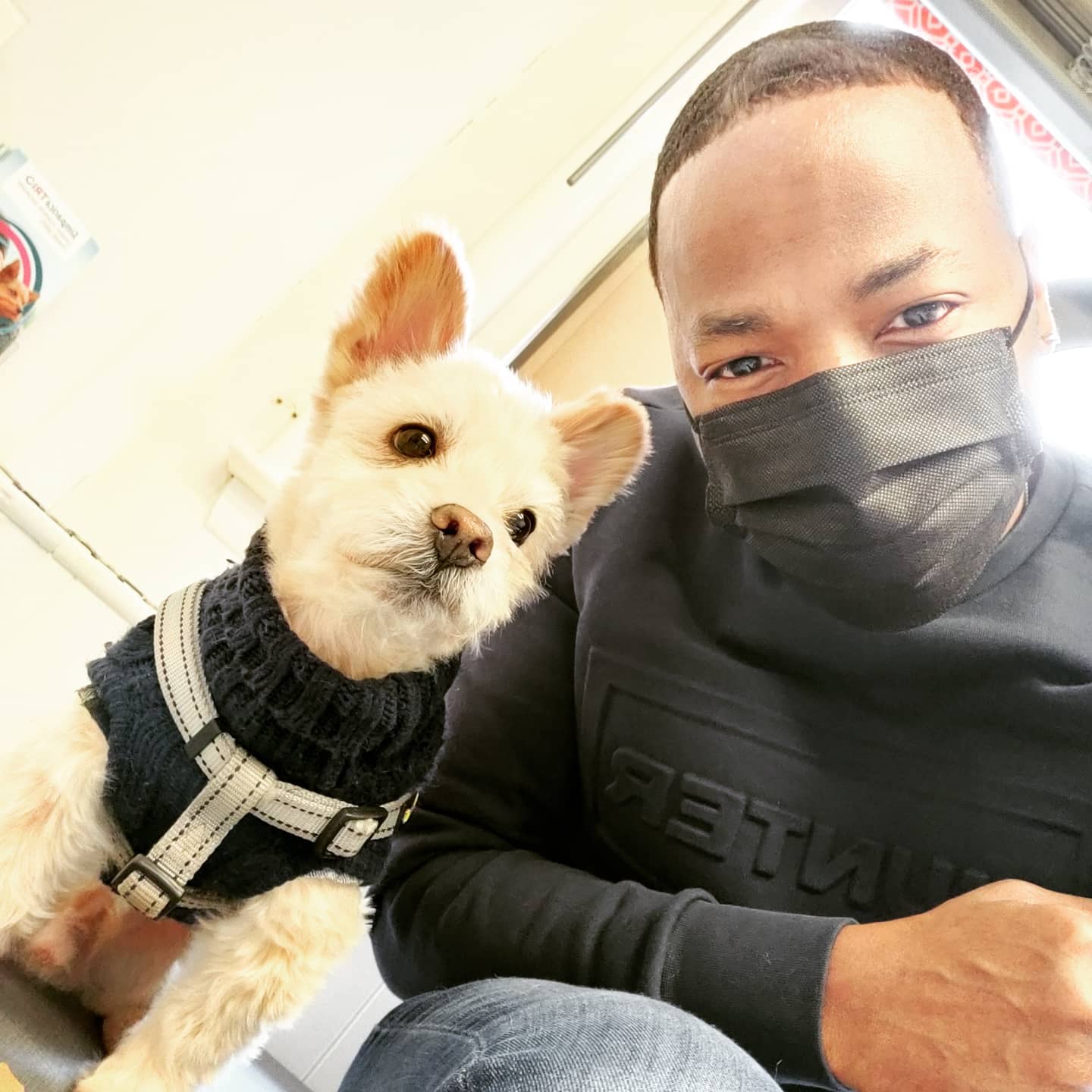 PetsFirst TLC Veterinary Center Silver Spring