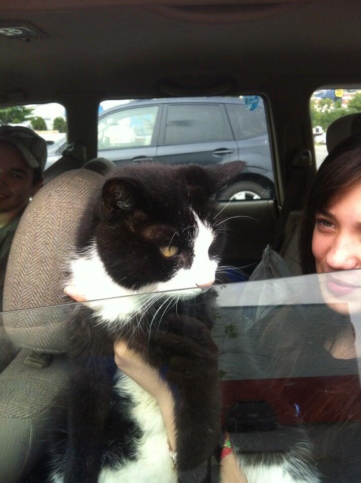 Photo credit: nextdoor