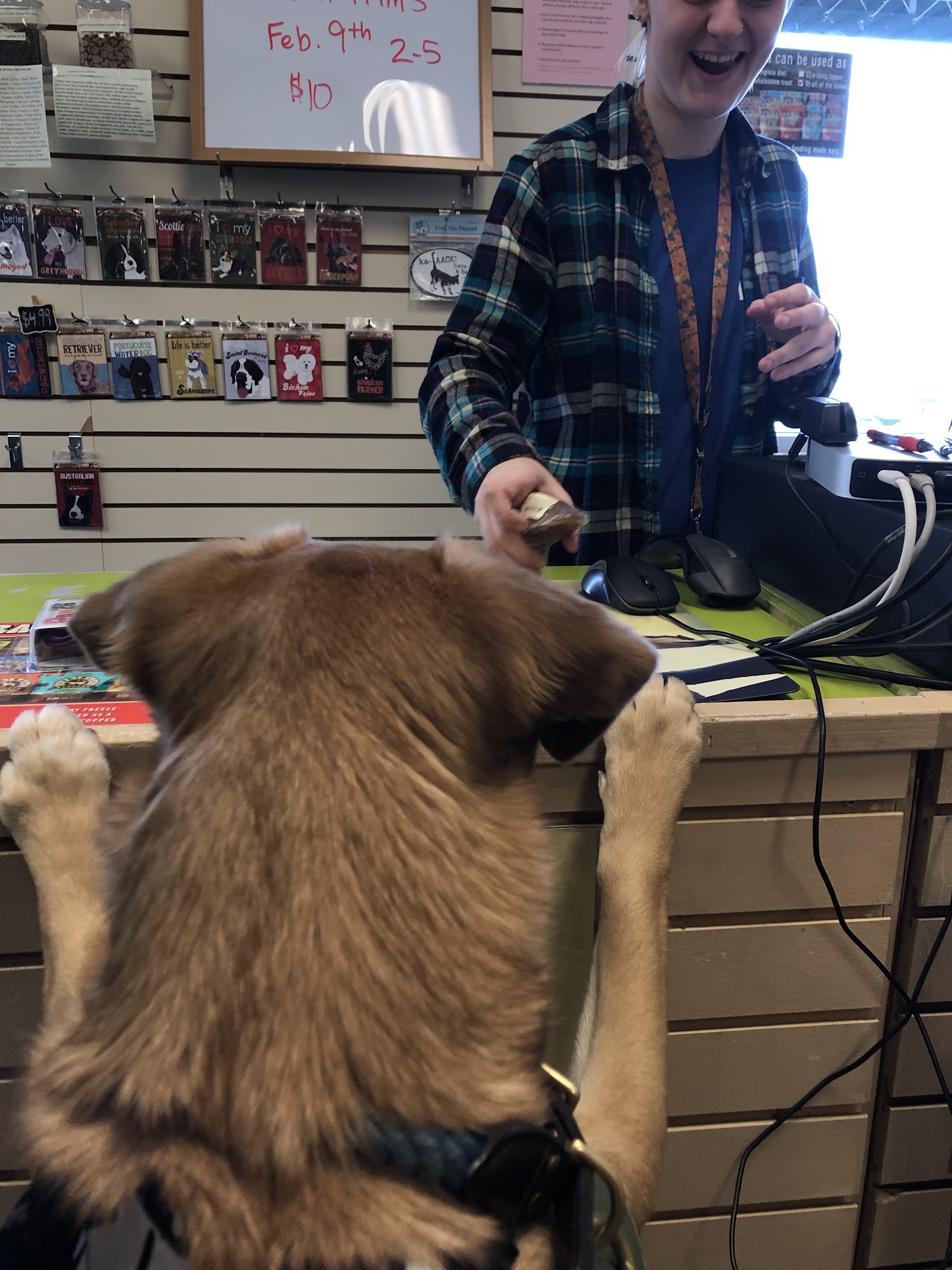 The Animal House Westbrook