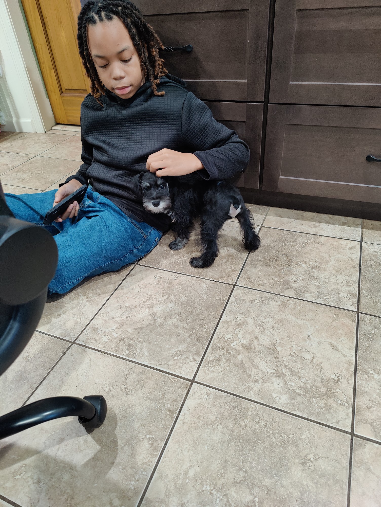 Jocilyn Kennels Almont