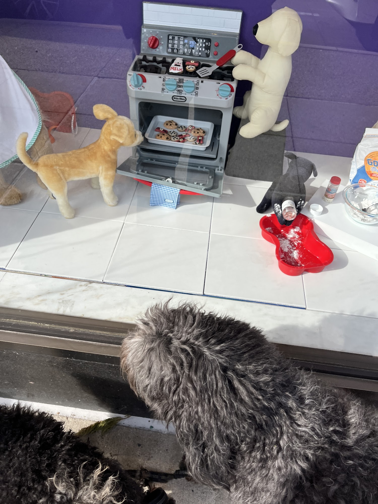 Teacups & Toys A Pet Boutique LLC Birmingham