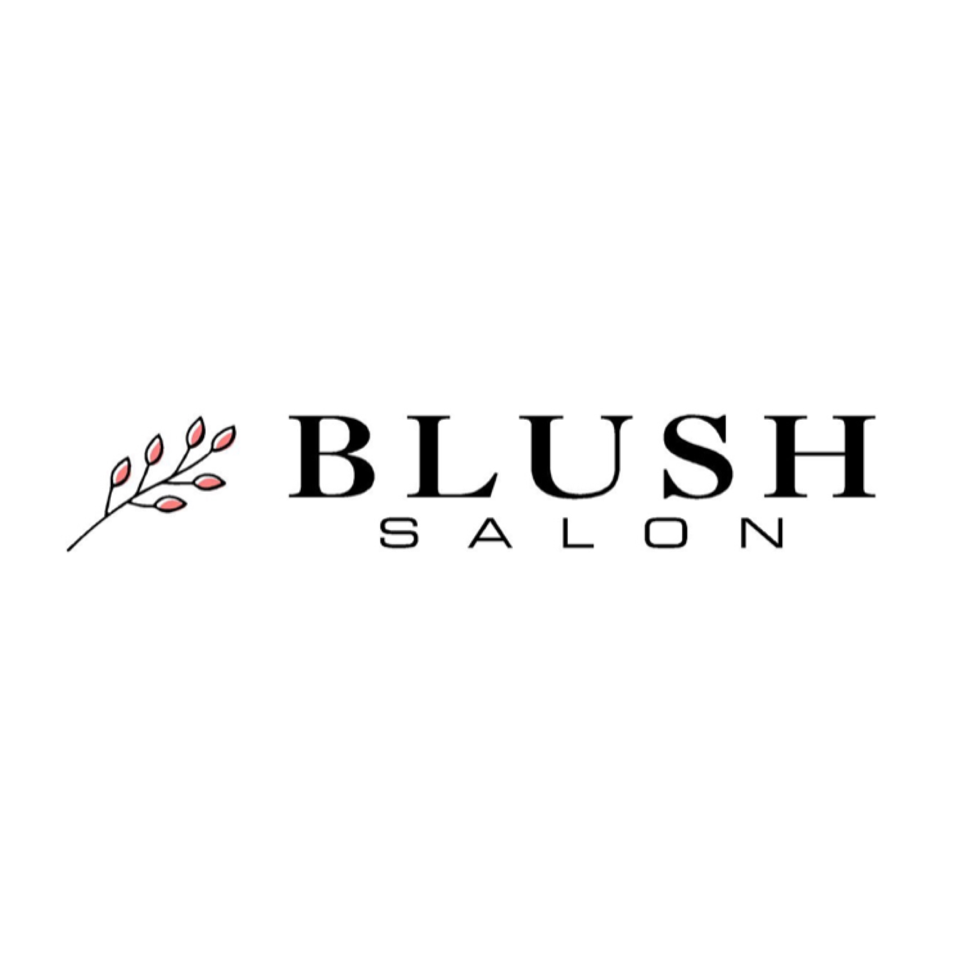 Blush Salon 130 W Broad St, Chesaning Michigan 48616