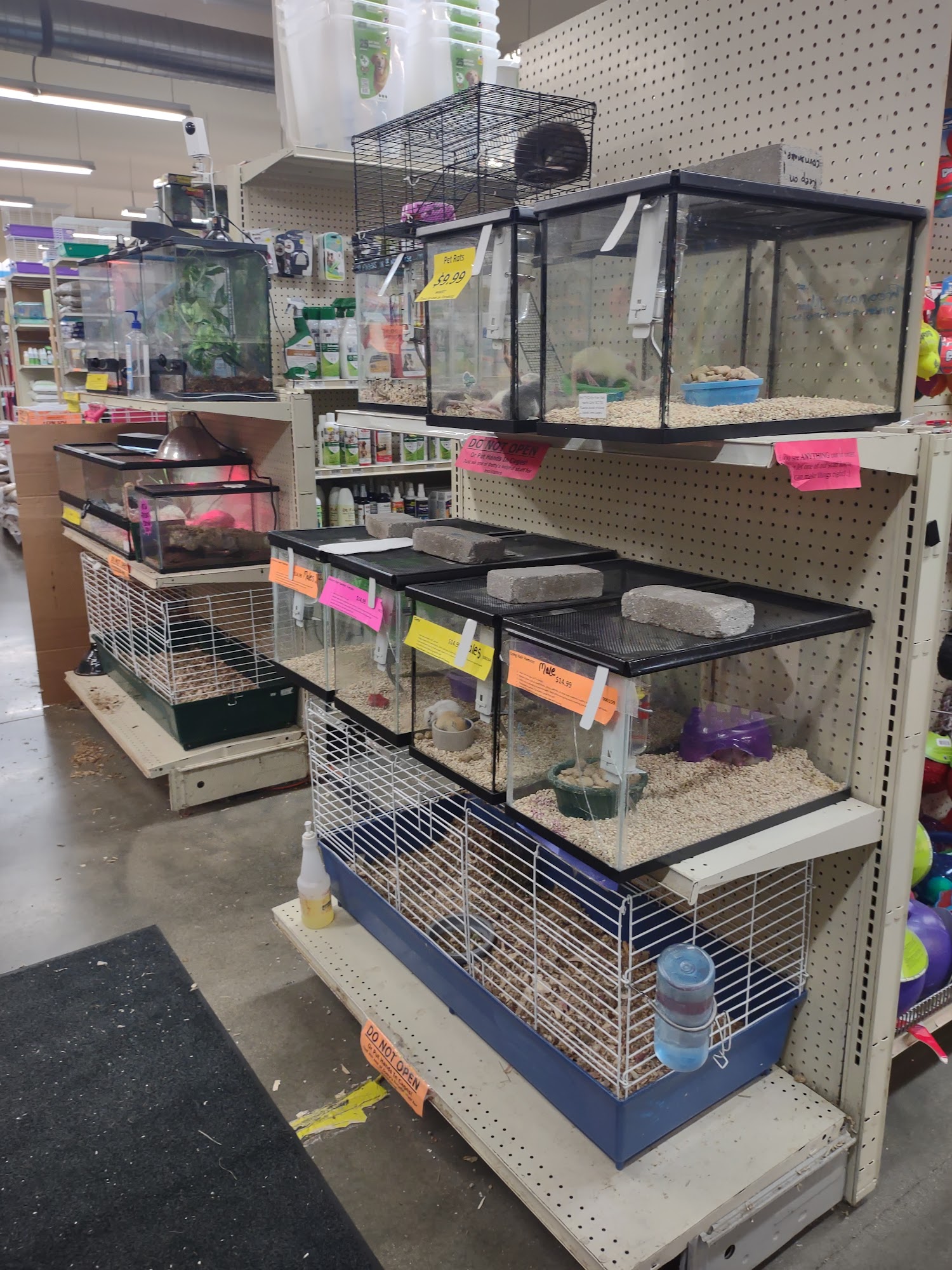 Dotty's Feed and Pet Clio