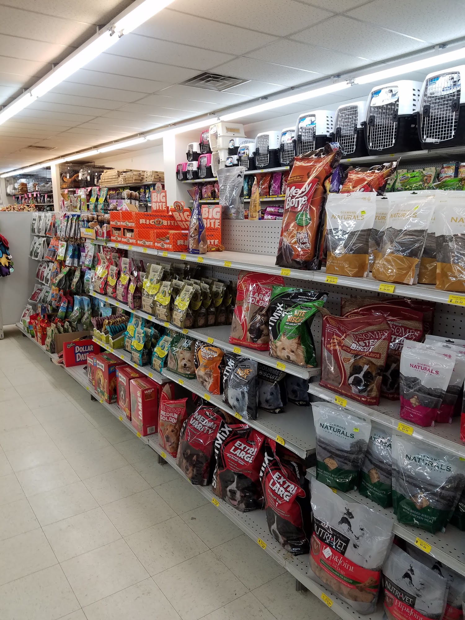 Magoo's Pet Outlet Flint