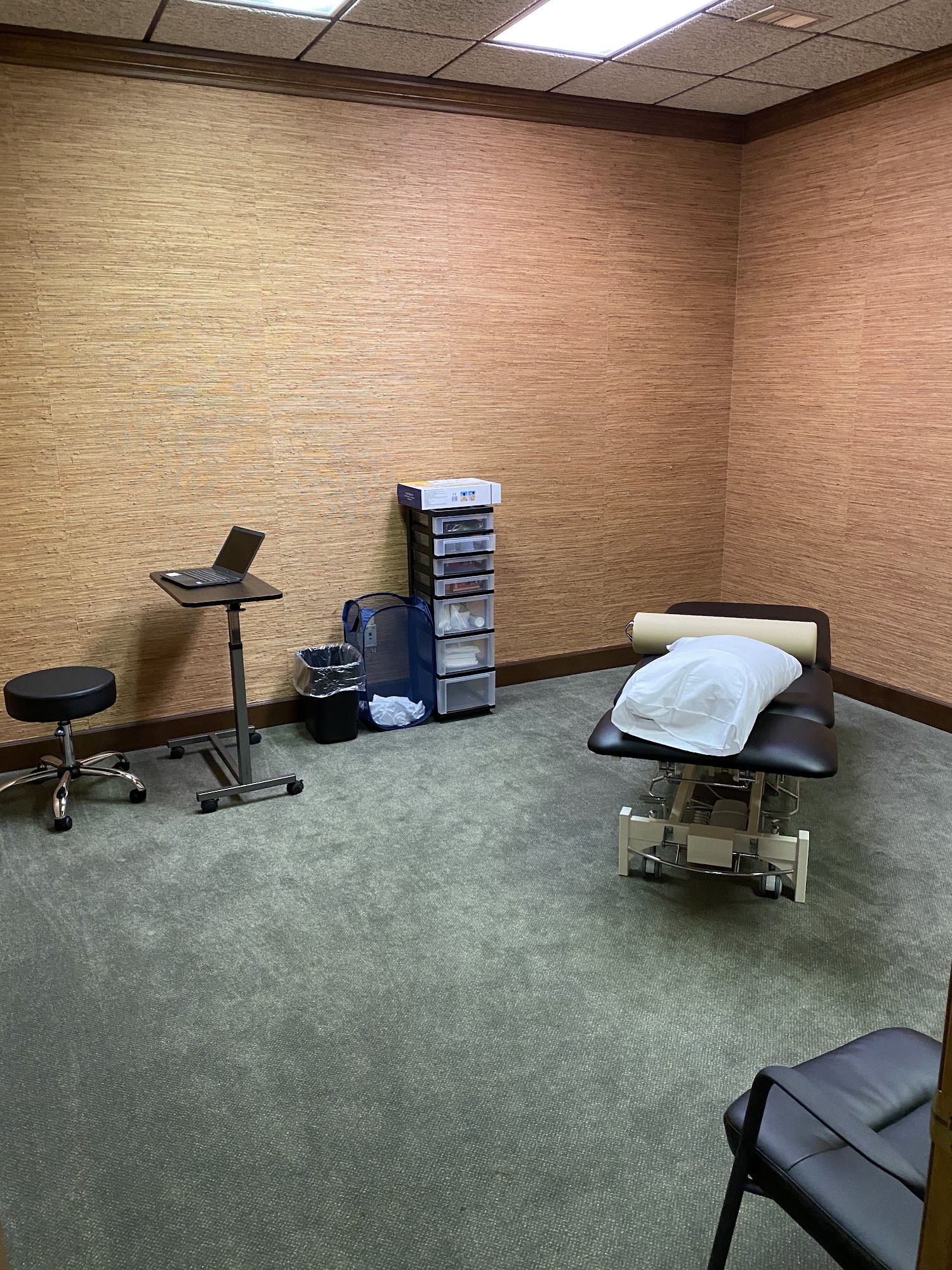 Back to You Osteopractic Physical Therapy & Rehabilitation 21316 Mack Ave, Grosse Pointe Woods Michigan 48236