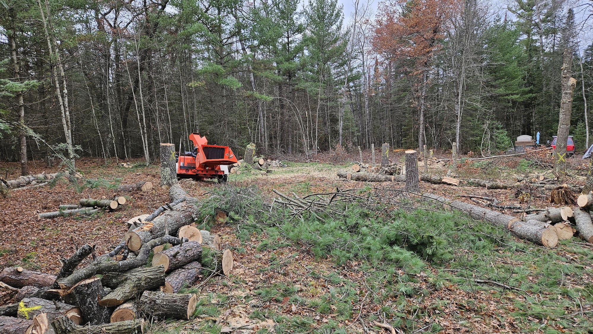 Hillbilly tree service 333 s Jackson ave, 812 arbor dr, Harrison Michigan 48625