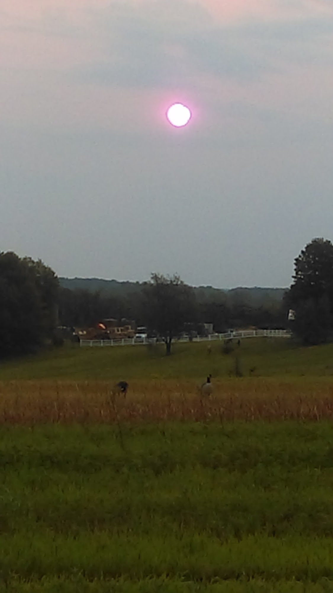 Weick Brothers Excavating