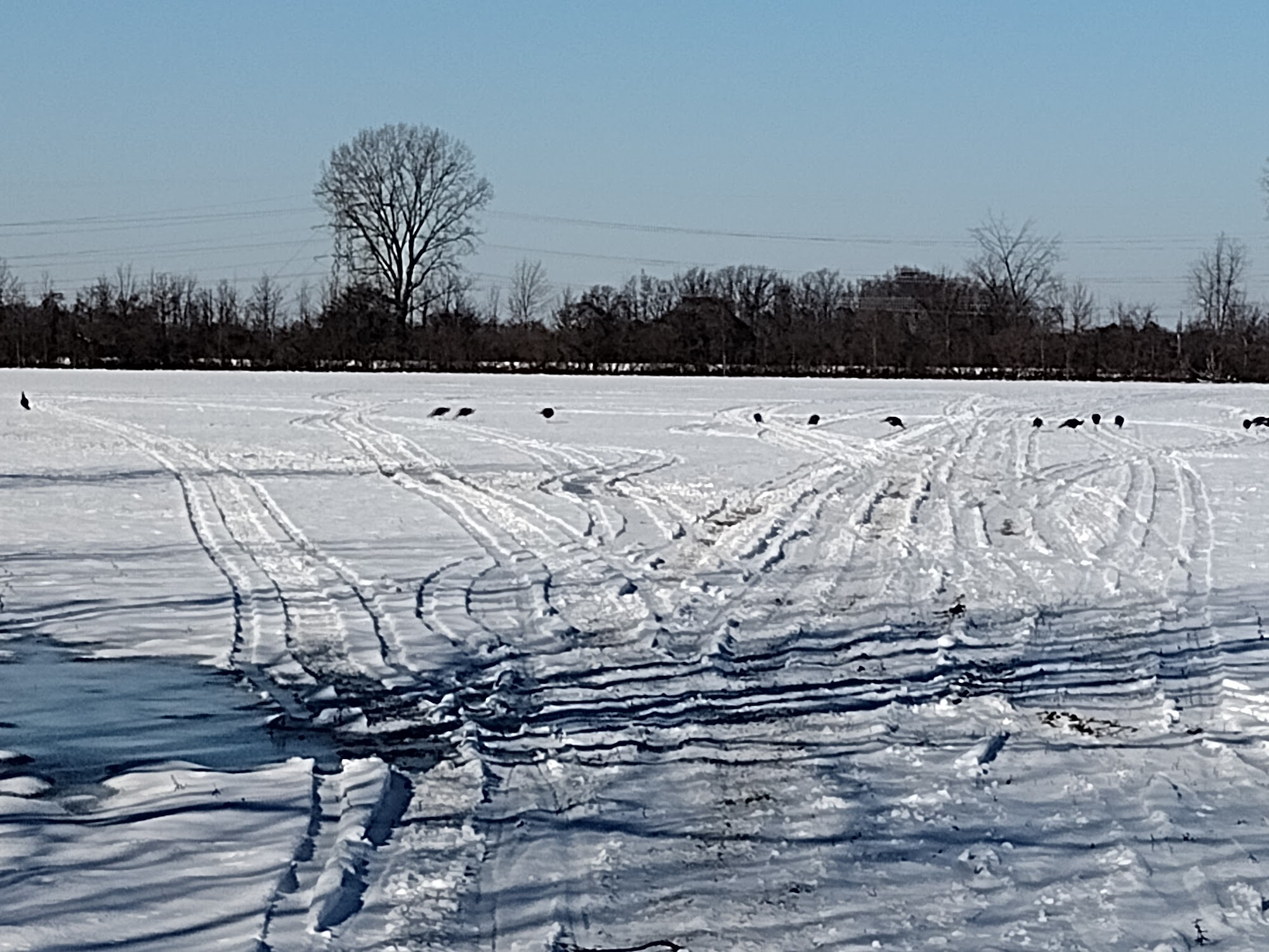 Masserants Feed & Grain Monroe