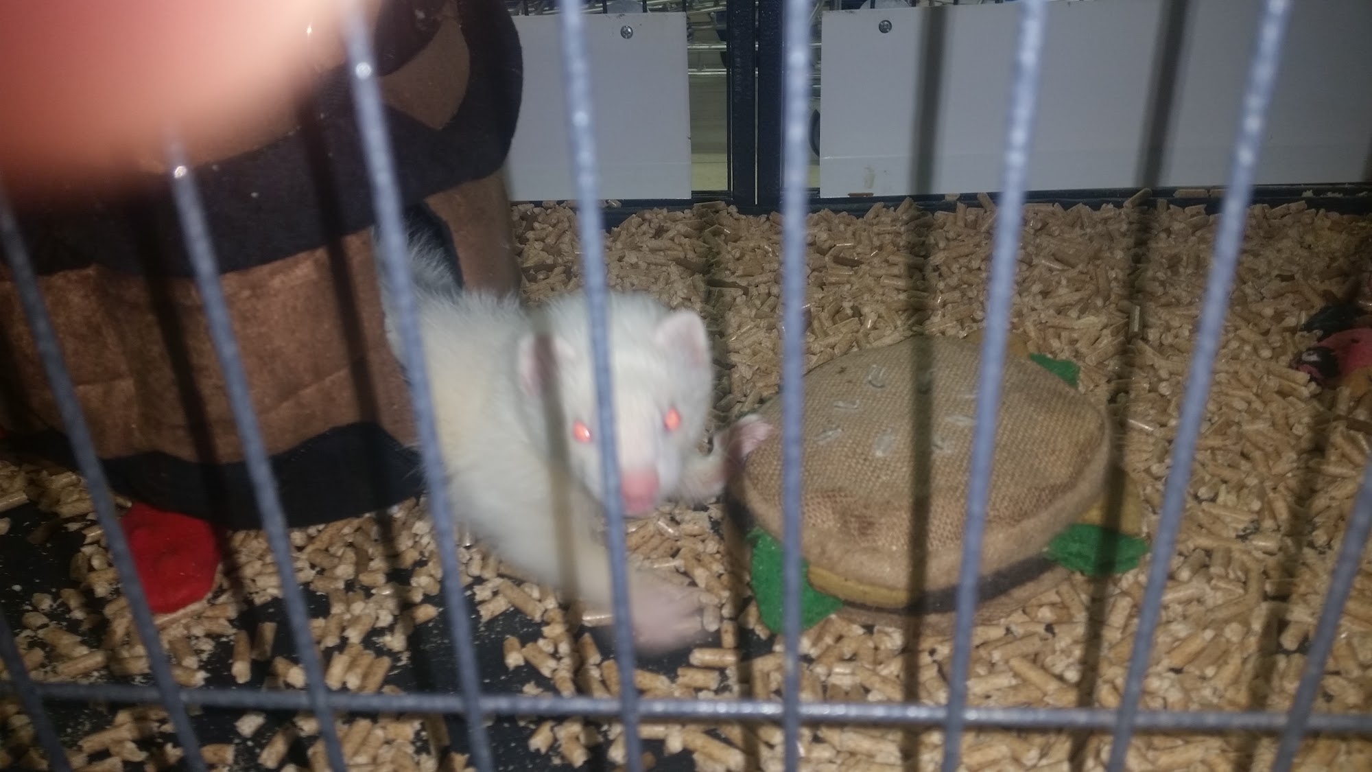 Soldan's Pet Supplies Mount Pleasant