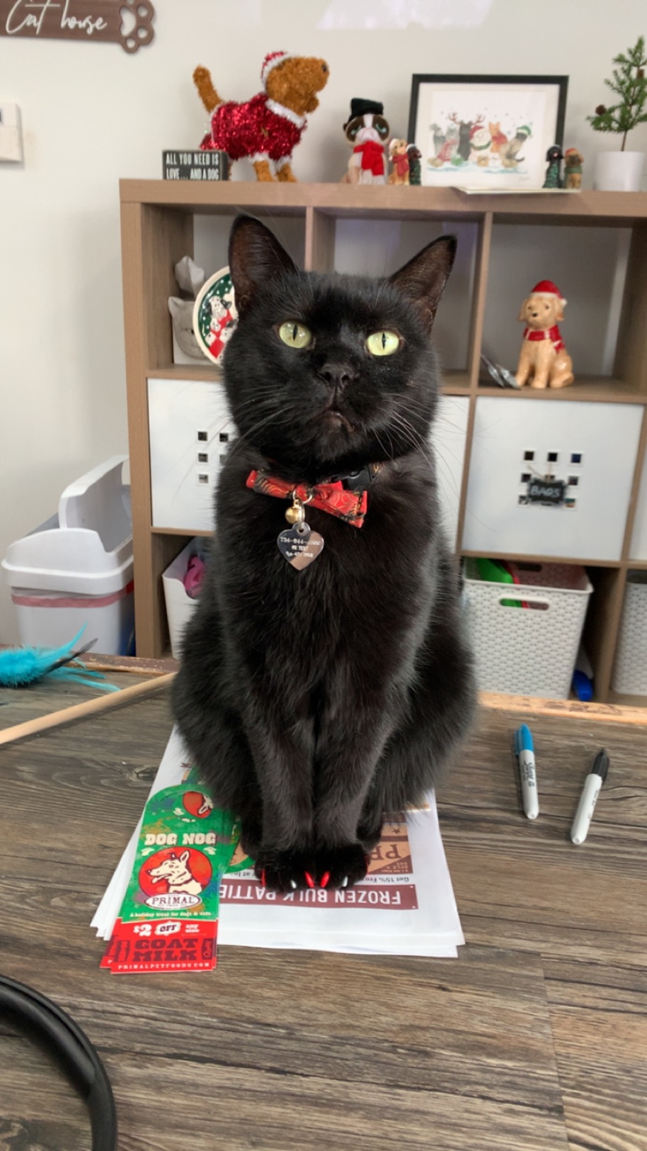 Wags To Wiskers Pet Supplies Saline