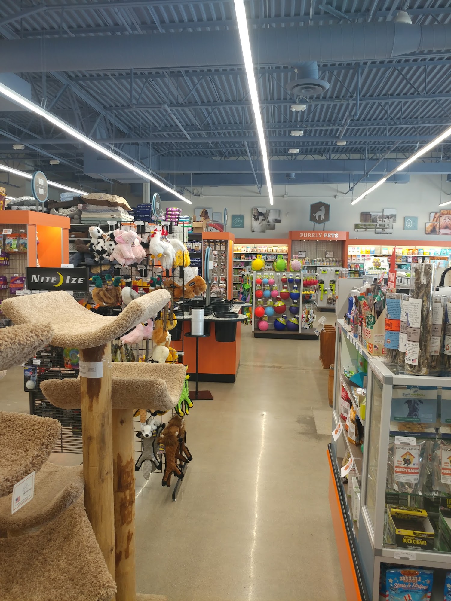 Premier Pet Supply Shelby