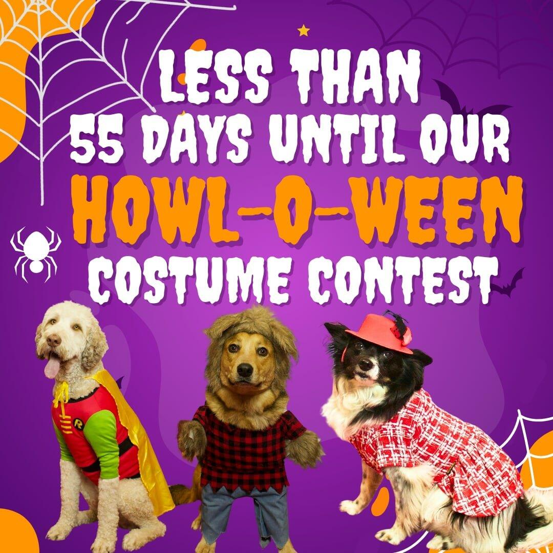 Woof Dah! Burnsville