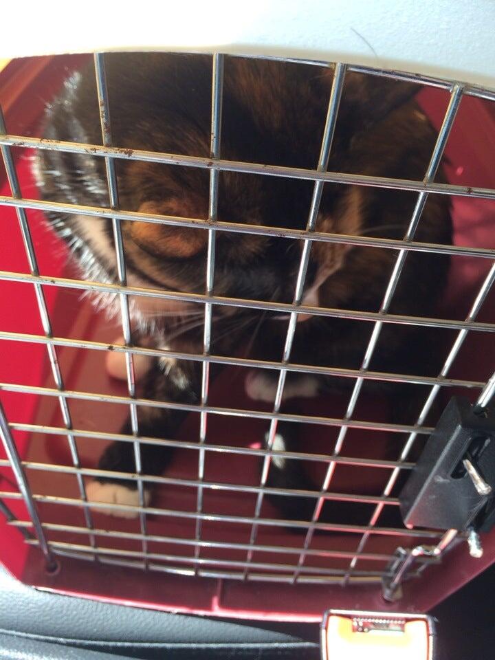 Photo credit: nextdoor