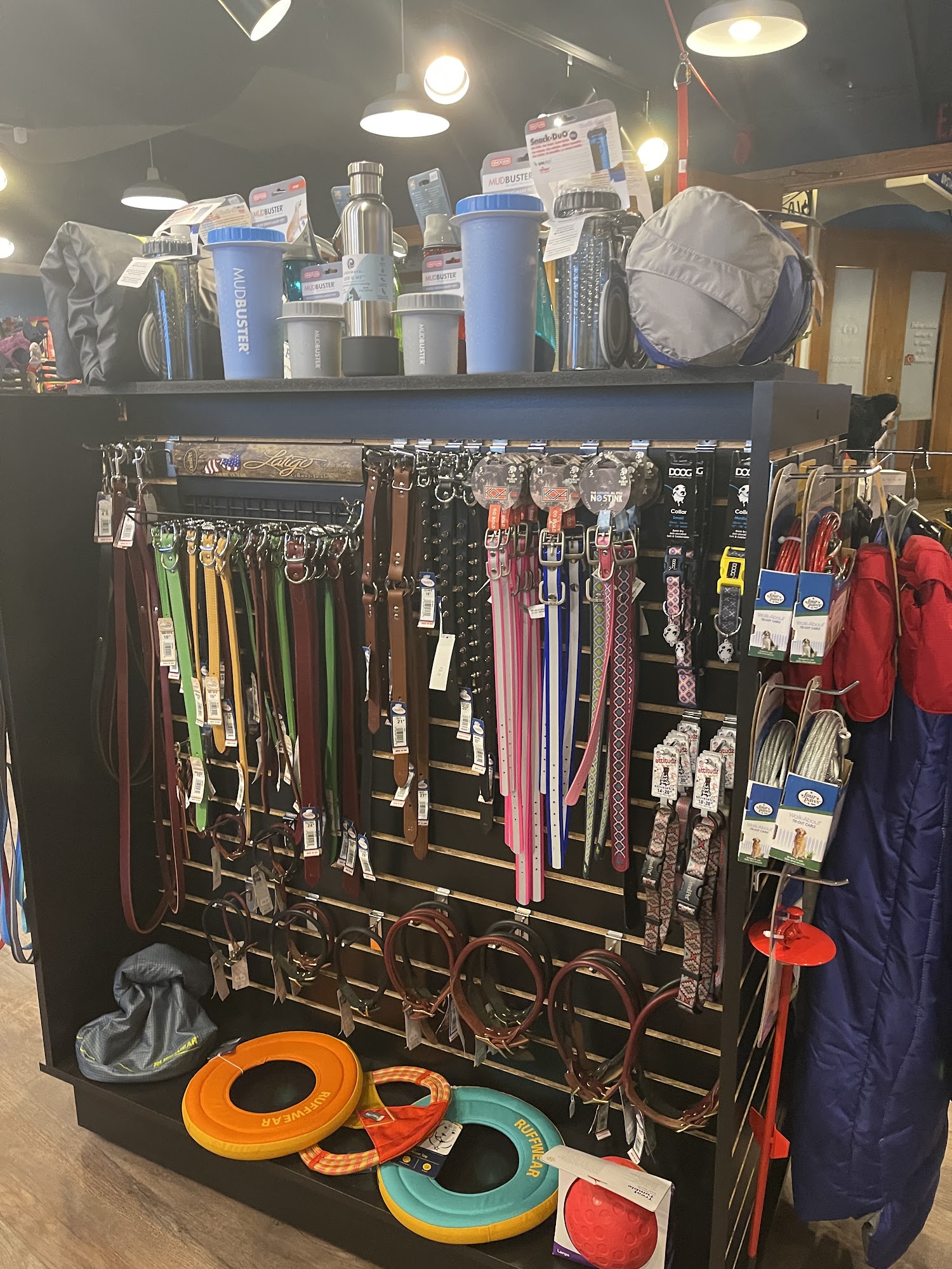 A Place for Fido Duluth