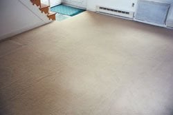 Allerganx Carpet & Upholstery Cleaning