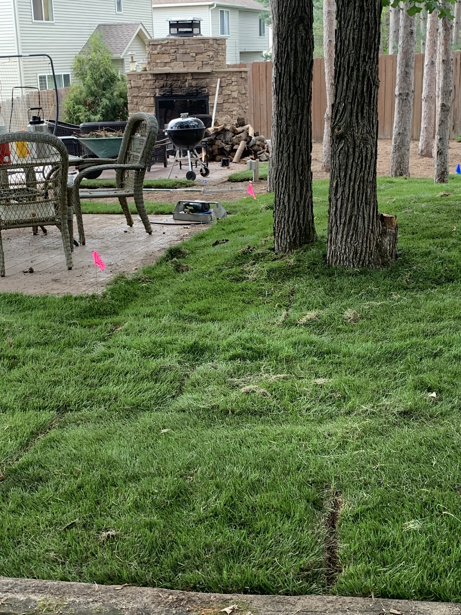 D & T Landscaping & Irrigation