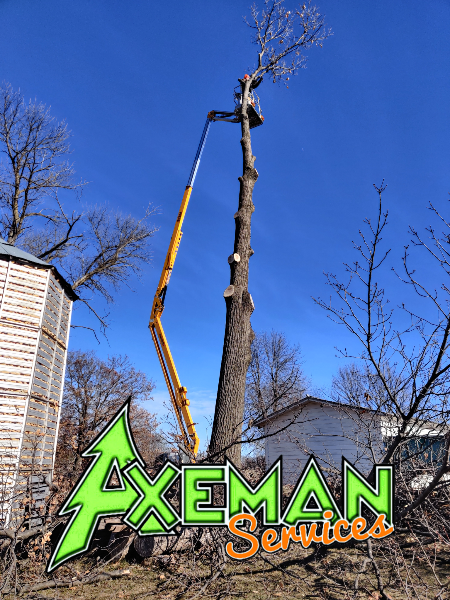 Axeman Services LLC. 206 2nd St SE, New Prague Minnesota 56071