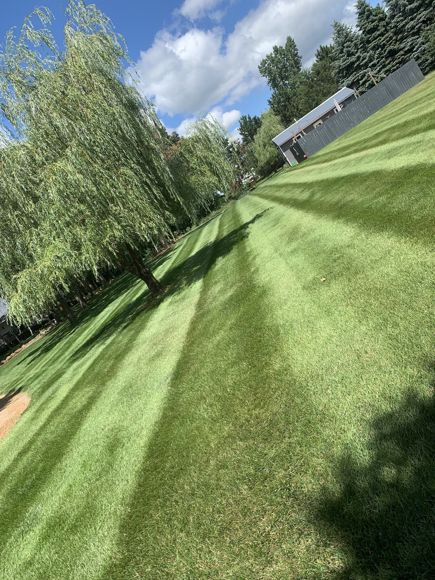 Alley Enterprises Lawn Care LLC