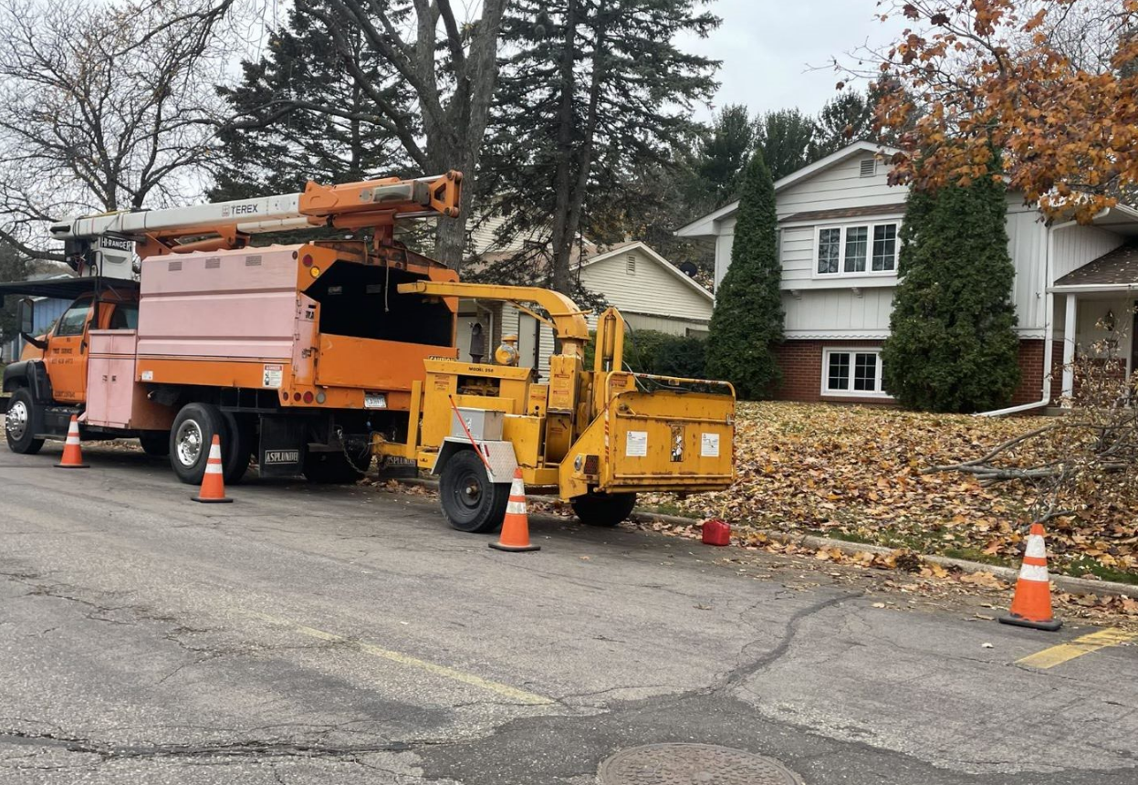 Midwest Tree Removal