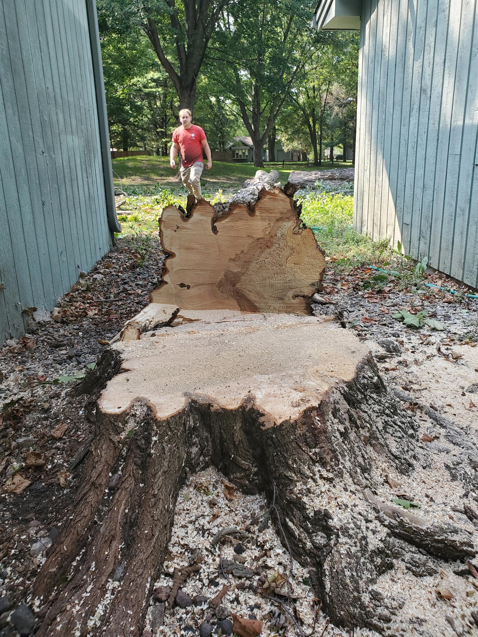 Photo credit: nextdoor