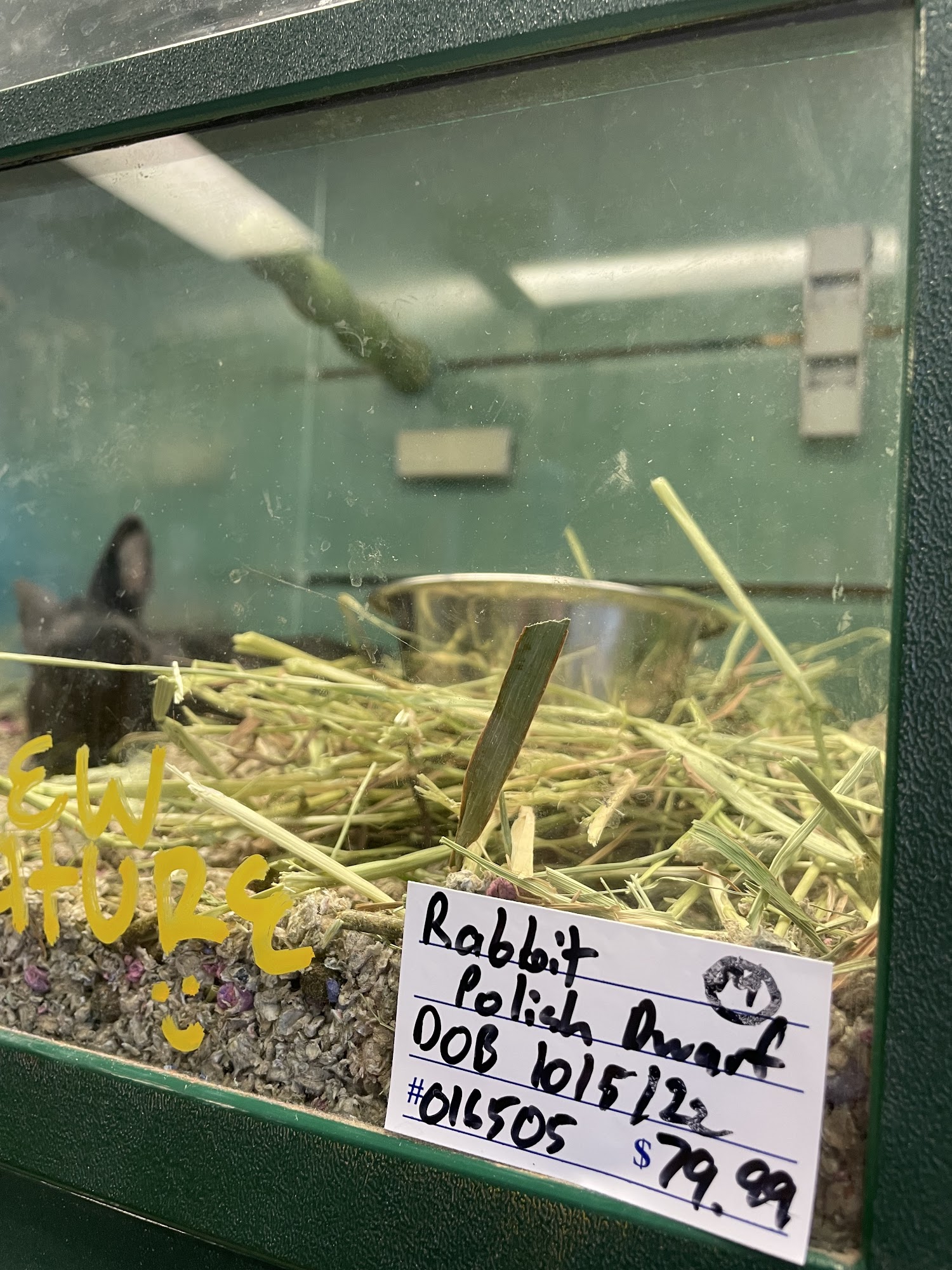 Atlas Pet Supply Stillwater