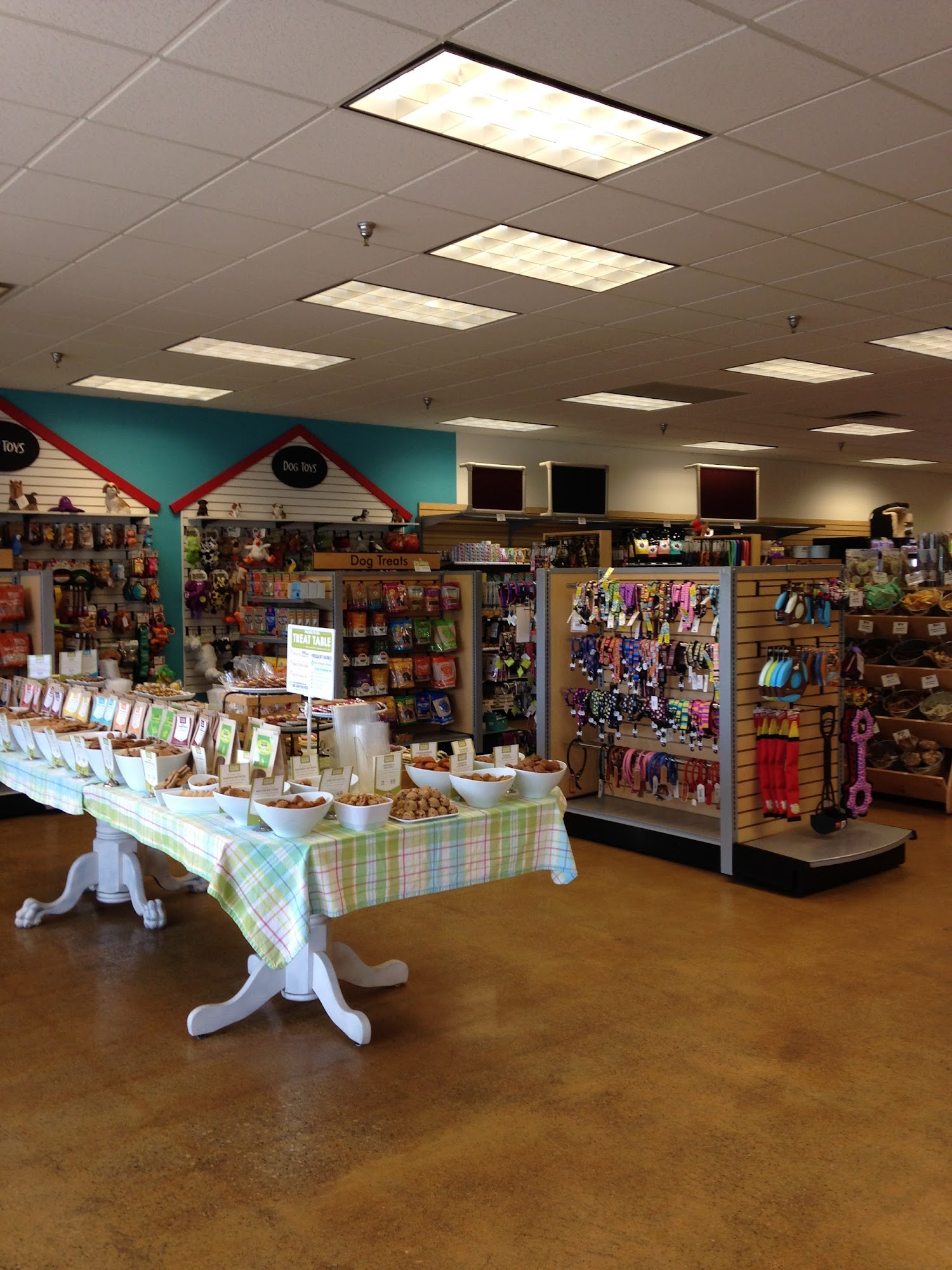 Treats Unleashed Chesterfield