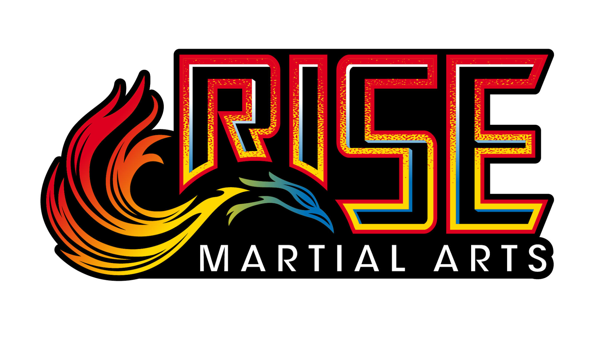 Rise Martial Arts 11739 Manchester Rd, Des Peres Missouri 63131