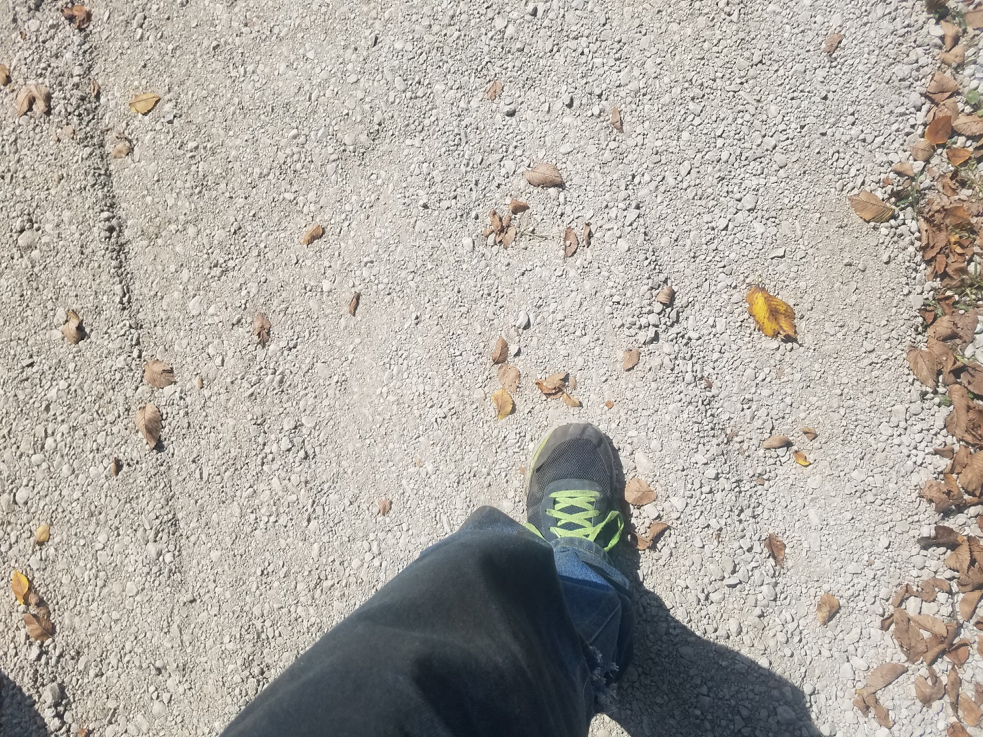 Hideaway Kennels Harrisonville