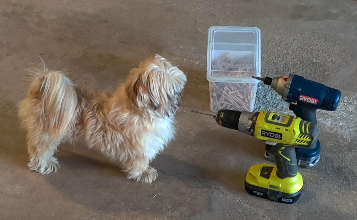 Diva Dog Pet Grooming Monett